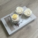 Rosedrøm Gul rose  thumbnail