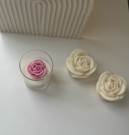 Rosedrøm rosa  thumbnail