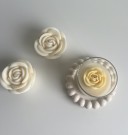 Rosedrøm Gul rose  thumbnail