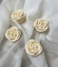 Rose thumbnail
